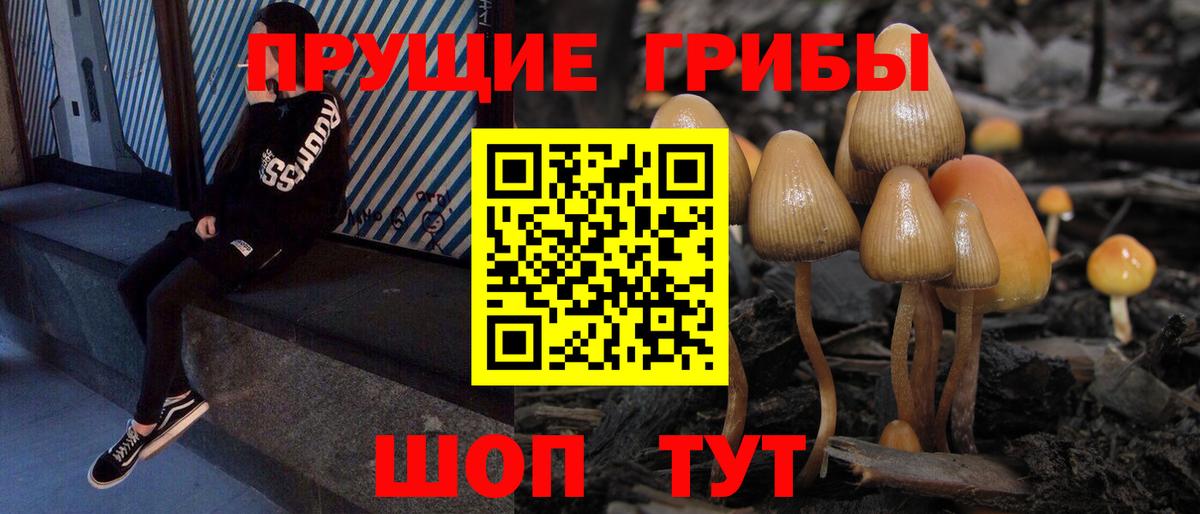 Кодеин Сокол